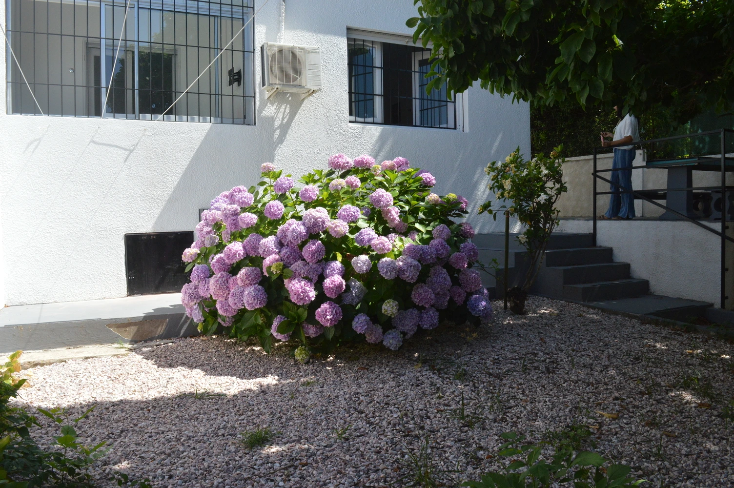 Fachada principal del Residencial Lumina con letrero y logo